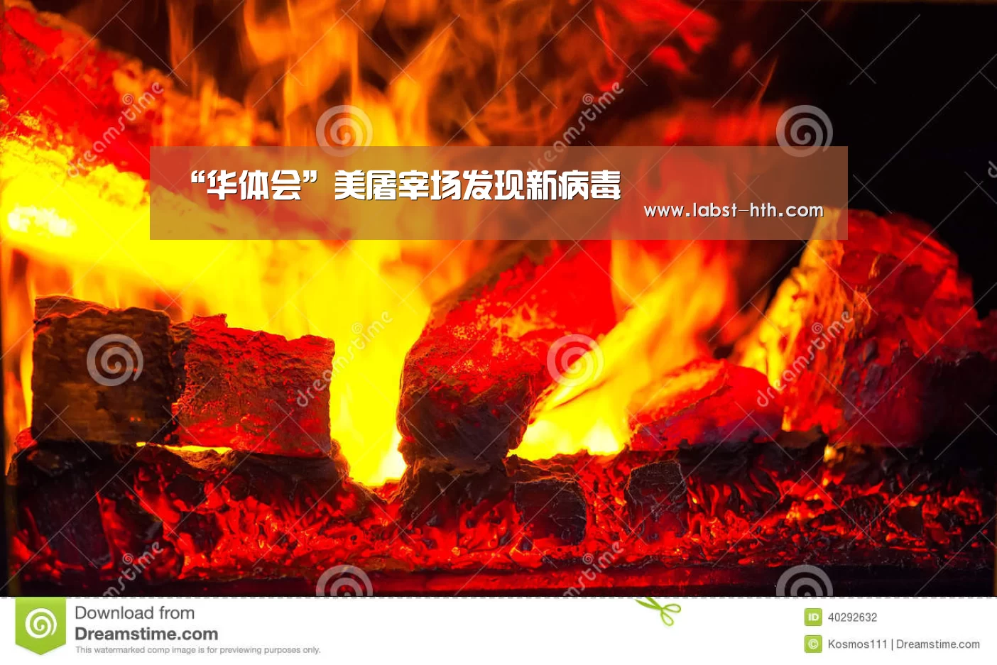 “华体会”美屠宰场发现新病毒(图1) 华体会官网